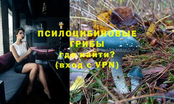 спиды Армянск