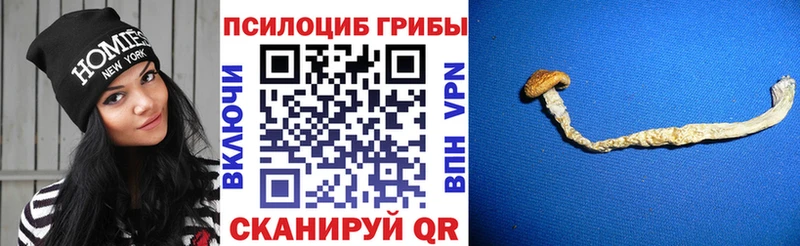 Псилоцибиновые грибы ЛСД  Руза 